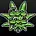ERB B4S Channel Logo