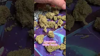 Greyscales Gelato Dream