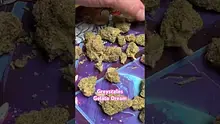 Doc Green Bud Video Thumbnail