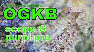 Good Supply Reserve OGKB Part 2: SCOPE & PURPL PRO