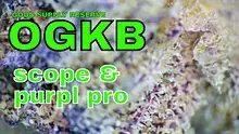 Smacksalad Video Thumbnail