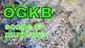 Video Thumbnail: Smacksalad