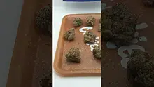 TimeTooToke Video Thumbnail
