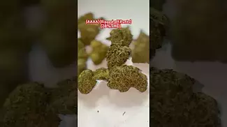 #mamedica#ukmedical#(AAAA)#Ripped.off.Runtz#28%THC)