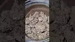 Grow Pharma Gary Payton 22%