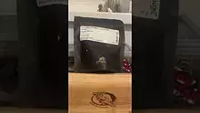  Sirspliffalot87 Video Thumbnail