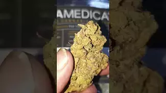 MAMEDICA FLV T28 Flower 