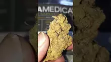 Mayor Green Video Thumbnail
