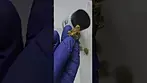 Lumir T26 KSC Cookies Kush UK Medical Cannabis Strain Reviews 