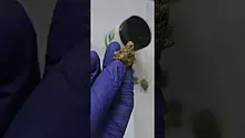 Casper Video Thumbnail
