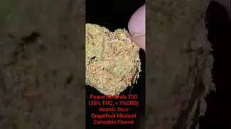 Atomic Sour Grapefruit Medical Cannabis Flower.  Fruity. Heavy. Smooth.  Relaxing.