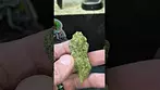 Watermelon Zkittles...28%THC...By Common Roots.