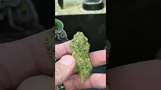 Watermelon Zkittles...28%THC...By Common Roots.