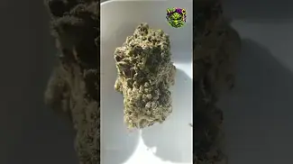 Soma OG | Mac Delux | UK Medical Flower | First Look