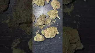 4C Labs Huckleberry  21% Medical Cannabis flower first look  #shorts #420 #fyp