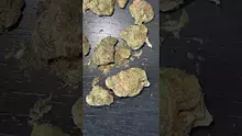 CheeseMon4 Video Thumbnail