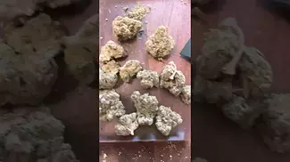 Kms  30% 420 Pharma #fyiシ゚viral #viralvideo #ukcannabis #music #winning #dnb #hipho