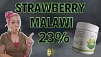 First Look Strawberry Malawi By Lumir | UK Medical Cannabis Flower Review * WATCH BEFORE BUYING *