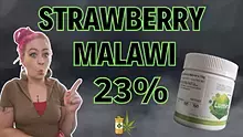 Kady's New Life Video Thumbnail