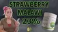 Video Thumbnail: Kady's New Life
