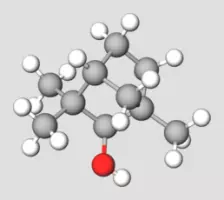 Fenchol Terpene Compound Representation