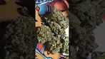 TILRAY Warlock ( UK PRESCRIPTION MEDICATION)