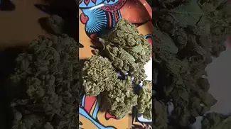 TILRAY Warlock ( UK PRESCRIPTION MEDICATION)