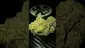 Video Thumbnail: VIP THC
