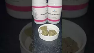 Aurora - cosmic cream 31%