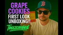  Treezcribed Video Thumbnail