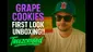 Video Thumbnail:  Treezcribed