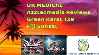 UK MEDICAL Azztecmedia Reviews Green Karat Fiji Sunset   T29