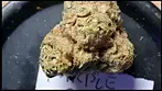 Grandi Guava+Grape Cream Cake+Jfgelato+Ppunch Scope footage