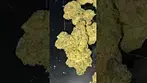 UK MEDICAL | UPSTATE - SCOUT CAKE T30%