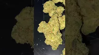 UK MEDICAL | UPSTATE - SCOUT CAKE T30%