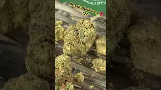 4c Labs Goldberry t27  #medicalcannabis #painrelief #ukmedicalcannabis #medical #paitent