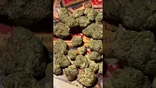 Master S BTB Video Thumbnail