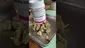 Video Thumbnail:  Pesky Mesky Meds