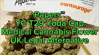 Papers™ YC T29 Yoda Cap Legal UK Medical Cannabis Flower