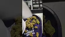 PrescribedBouquet Video Thumbnail