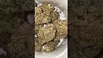 Qwest - grape cream cake 