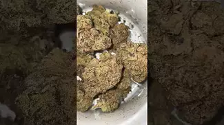 Qwest - grape cream cake 