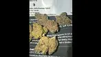 4c labs d bubba uk medical