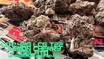 Lot 420/AAAA LCG T22 - Lemon Cherry Gelato - UK Medical Cannabis Flower Review