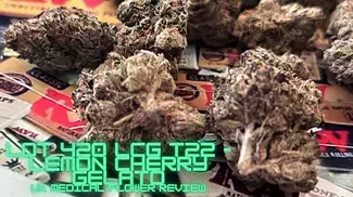 Lot 420/AAAA LCG T22 - Lemon Cherry Gelato - UK Medical Cannabis Flower Review