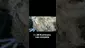 Video Thumbnail: MedCannaBliss