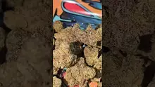 PrescribedBouquet Video Thumbnail