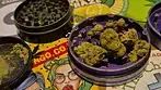 4C Labs Core ULS T21 Ultra Sour Medical Cannabis Flower Review