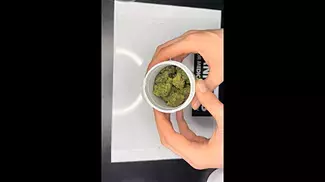 AURORA LA CONFIDENTIAL  (damn that’s dry ) uk medical cannabis