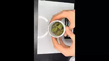 Jack & The Green Talk Video Thumbnail
